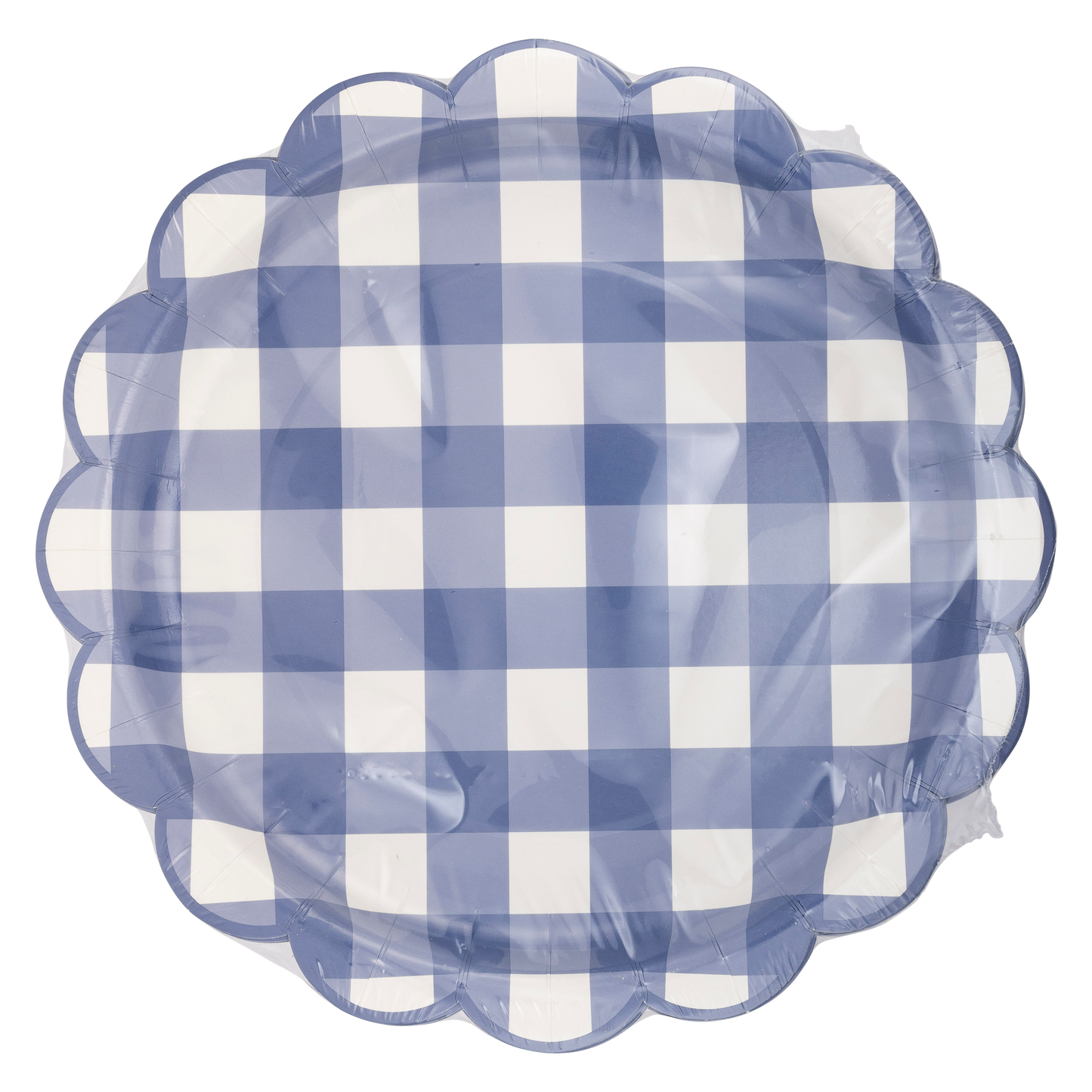 Blue Gingham Plate