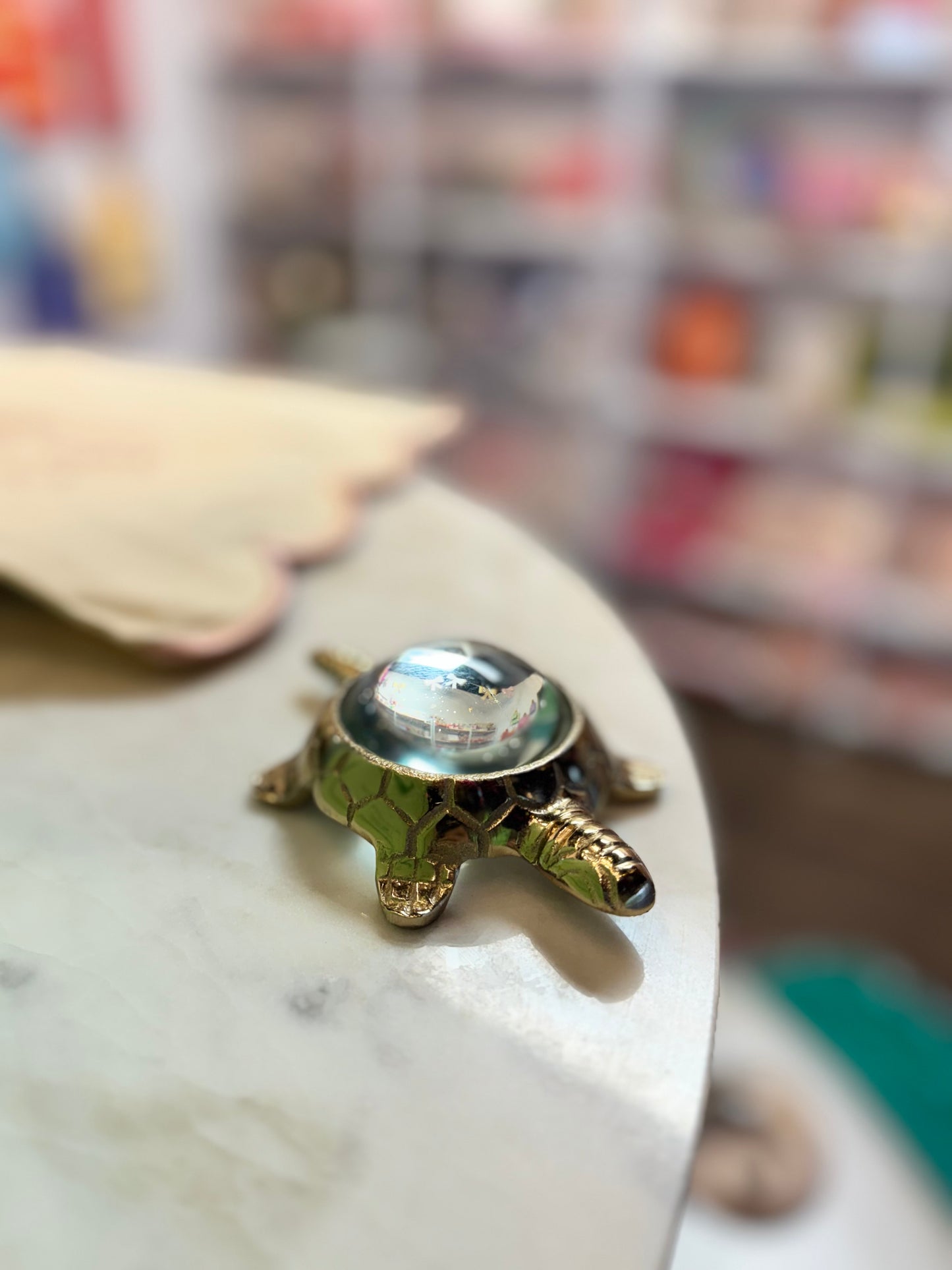 Gold Turtle Magnifying Glass