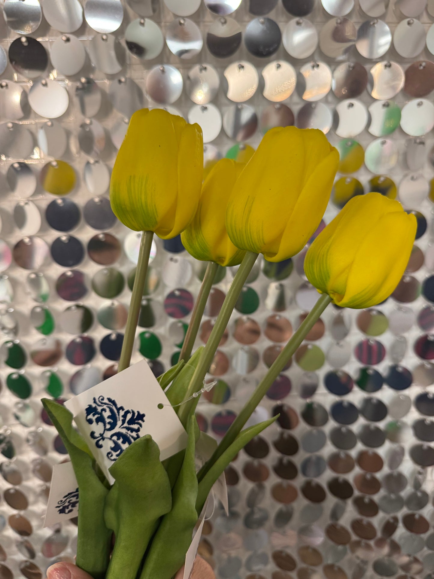 Assorted Mixed Colour Tulip Stems