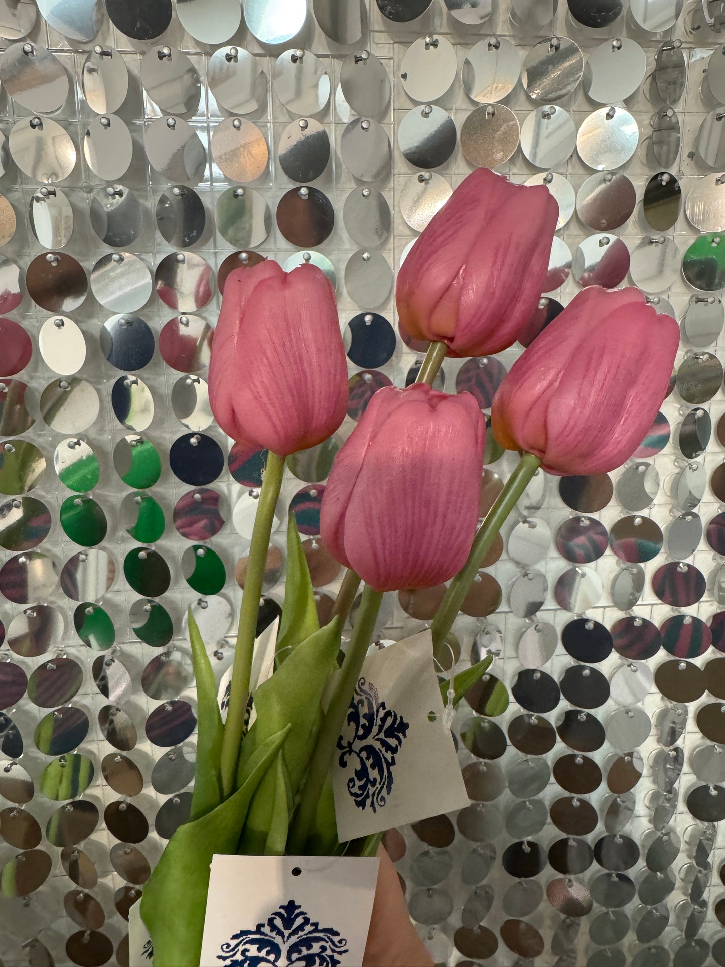 Assorted Mixed Colour Tulip Stems