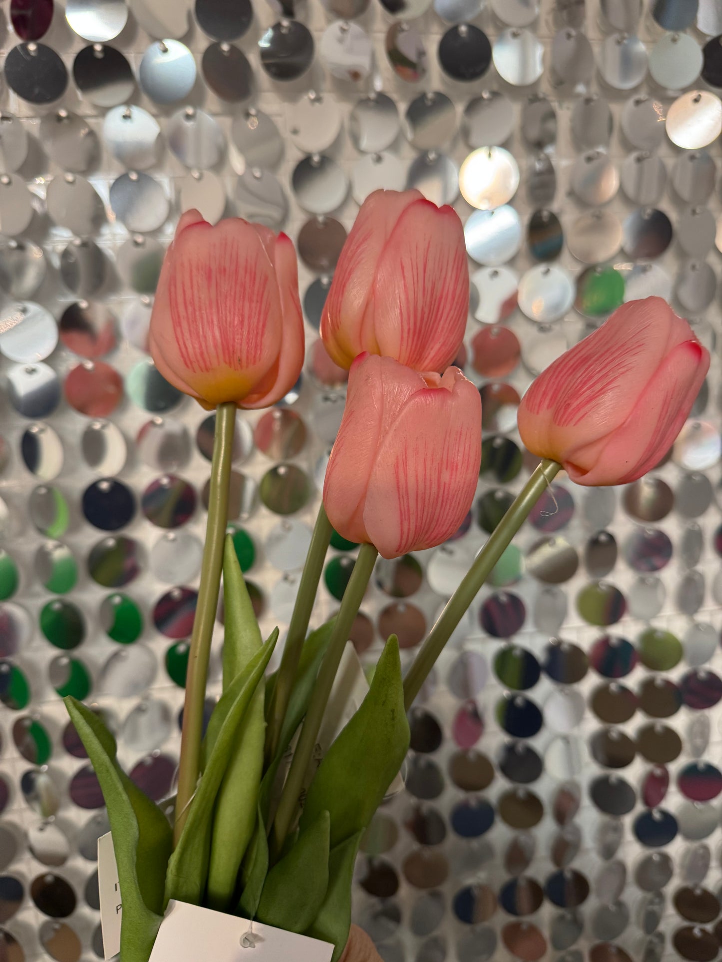 Assorted Mixed Colour Tulip Stems
