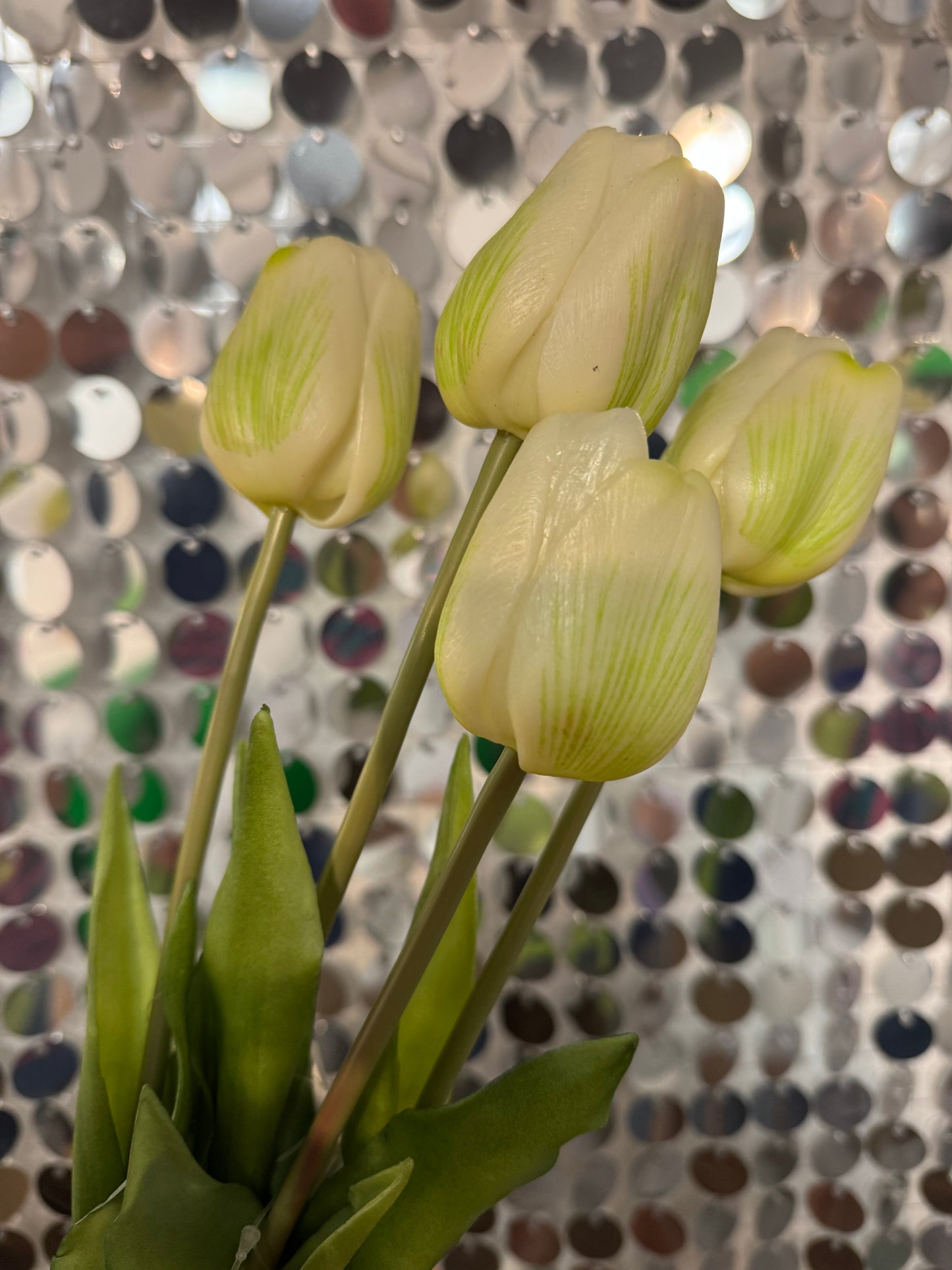 Assorted Mixed Colour Tulip Stems