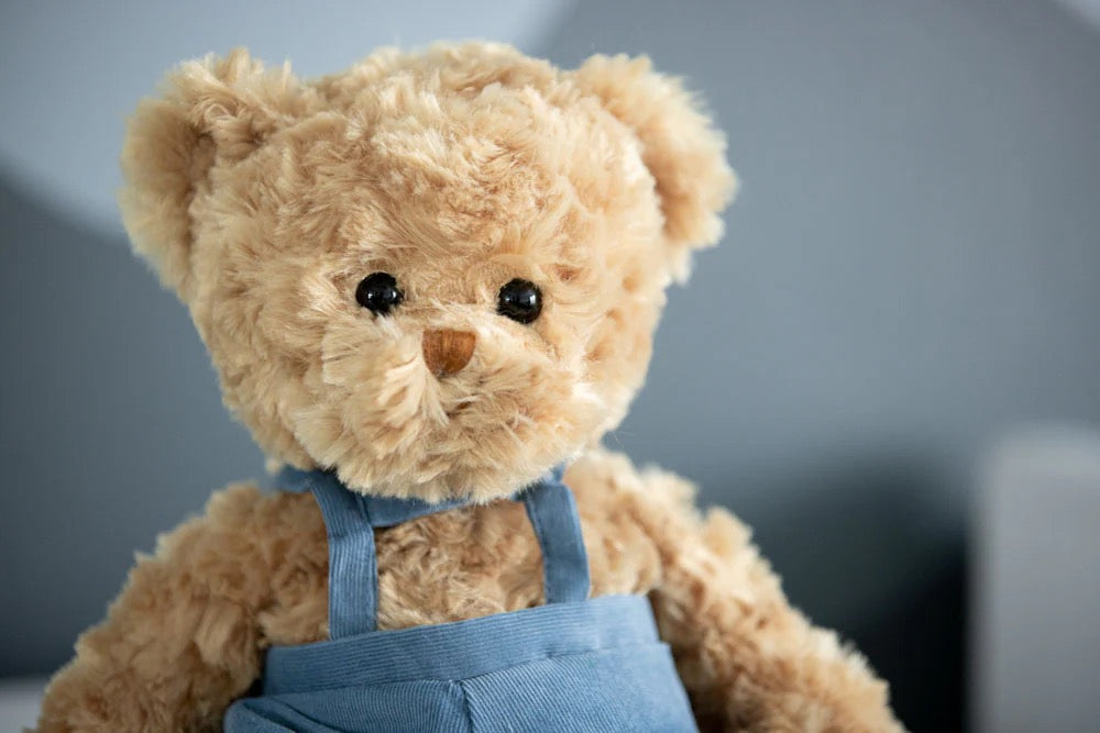Mavi Bear