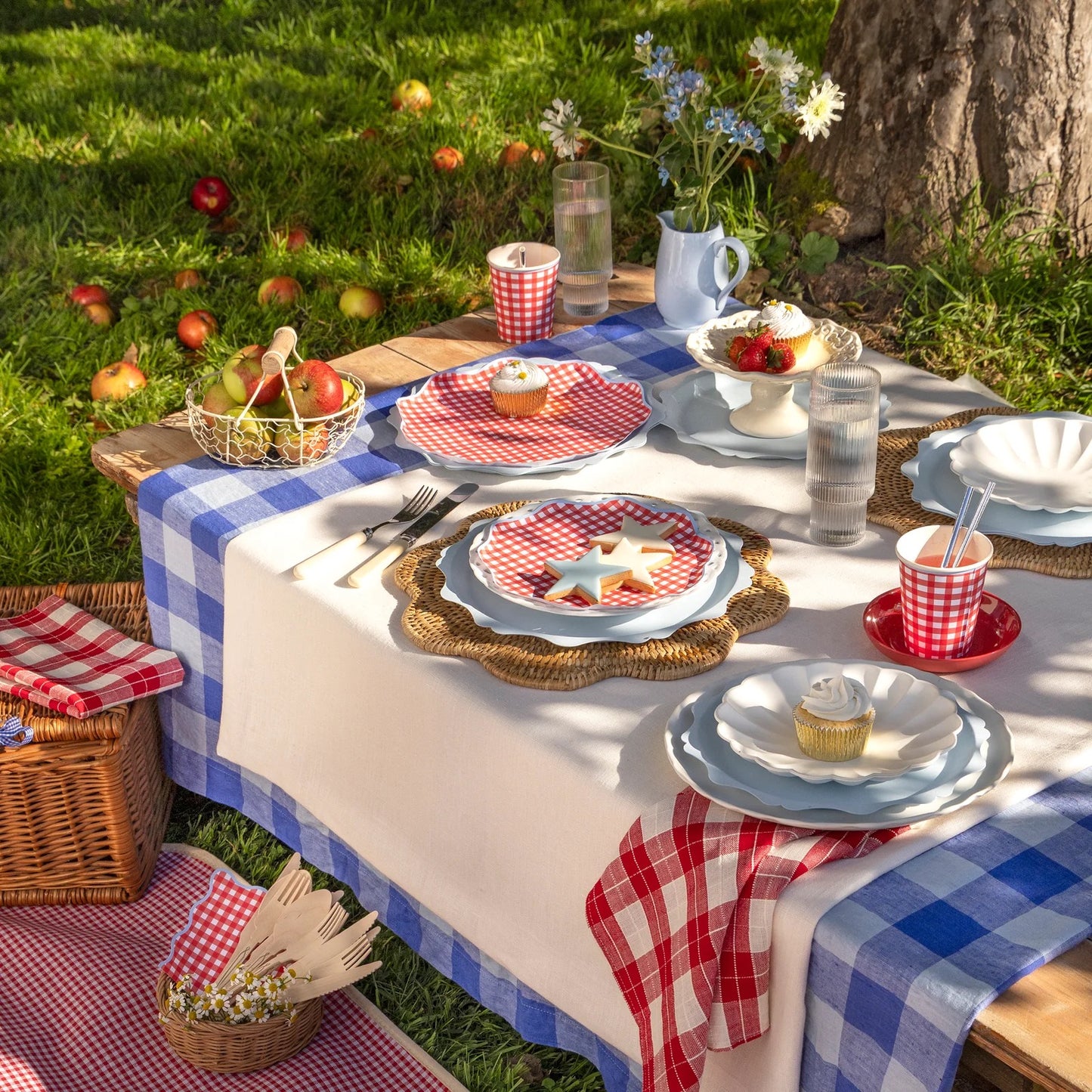 Red Gingham Dinner Plates