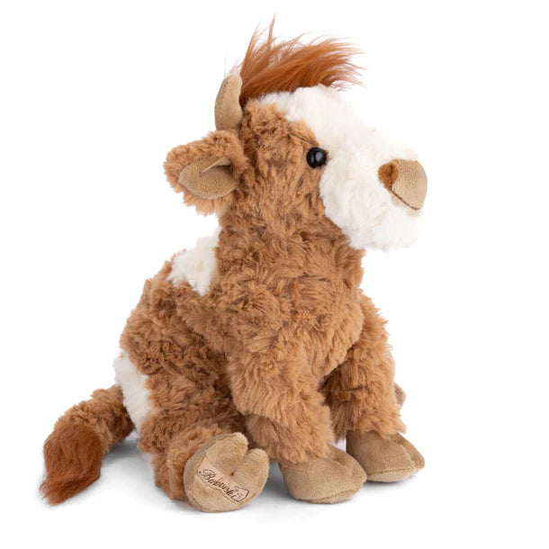 Madison Highland Cow