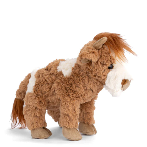 Madison Highland Cow