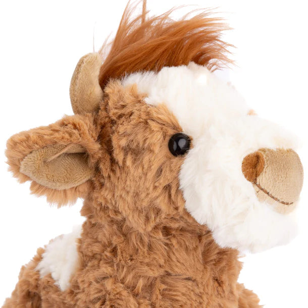 Madison Highland Cow