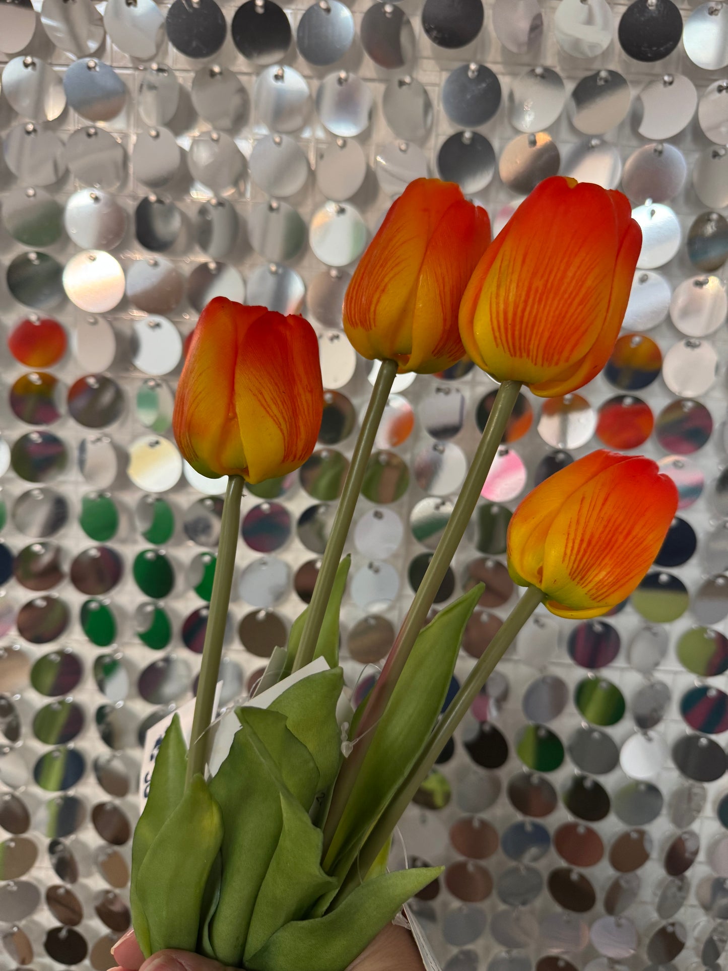 Assorted Mixed Colour Tulip Stems