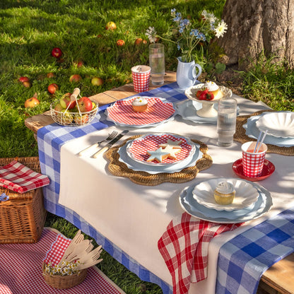 Red Gingham Dinner Plates