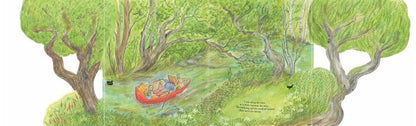 Mouse On The River Book