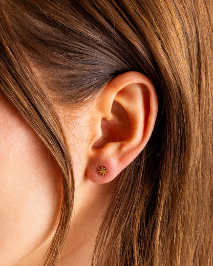 Scout Star Stud