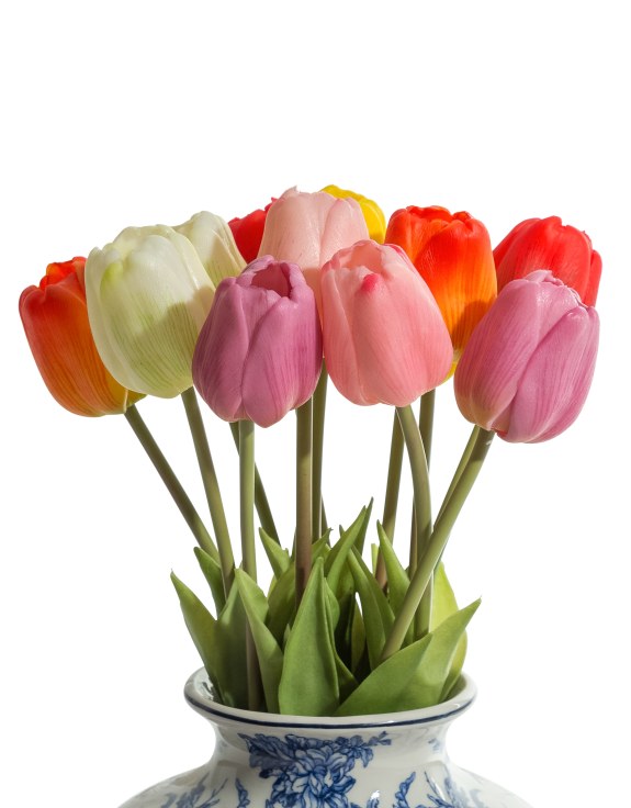 Assorted Mixed Colour Tulip Stems