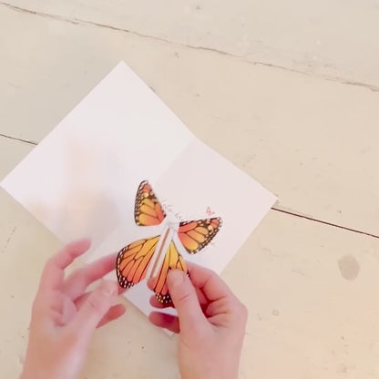 Magic Flying Butterfly